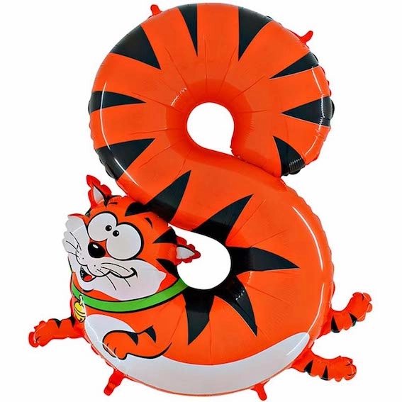 Шар цифра 8, Кот