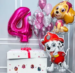 Коробка с шарами на День рождения, Щенячий патруль