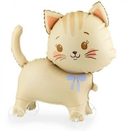 Шар фигура, Кот на колесиках