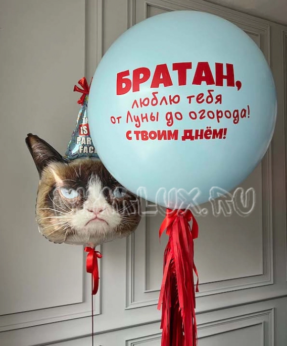 Набор шаров с ДР Братан
