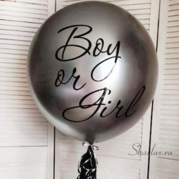 Шар гигант с гирляндой , Boy or Girl