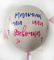 Шар на гендер пати надпись "Мальчик или Девочка"