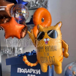 Набор шаров, "Веселый кот"