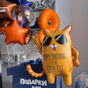 Набор шаров, "Веселый кот"